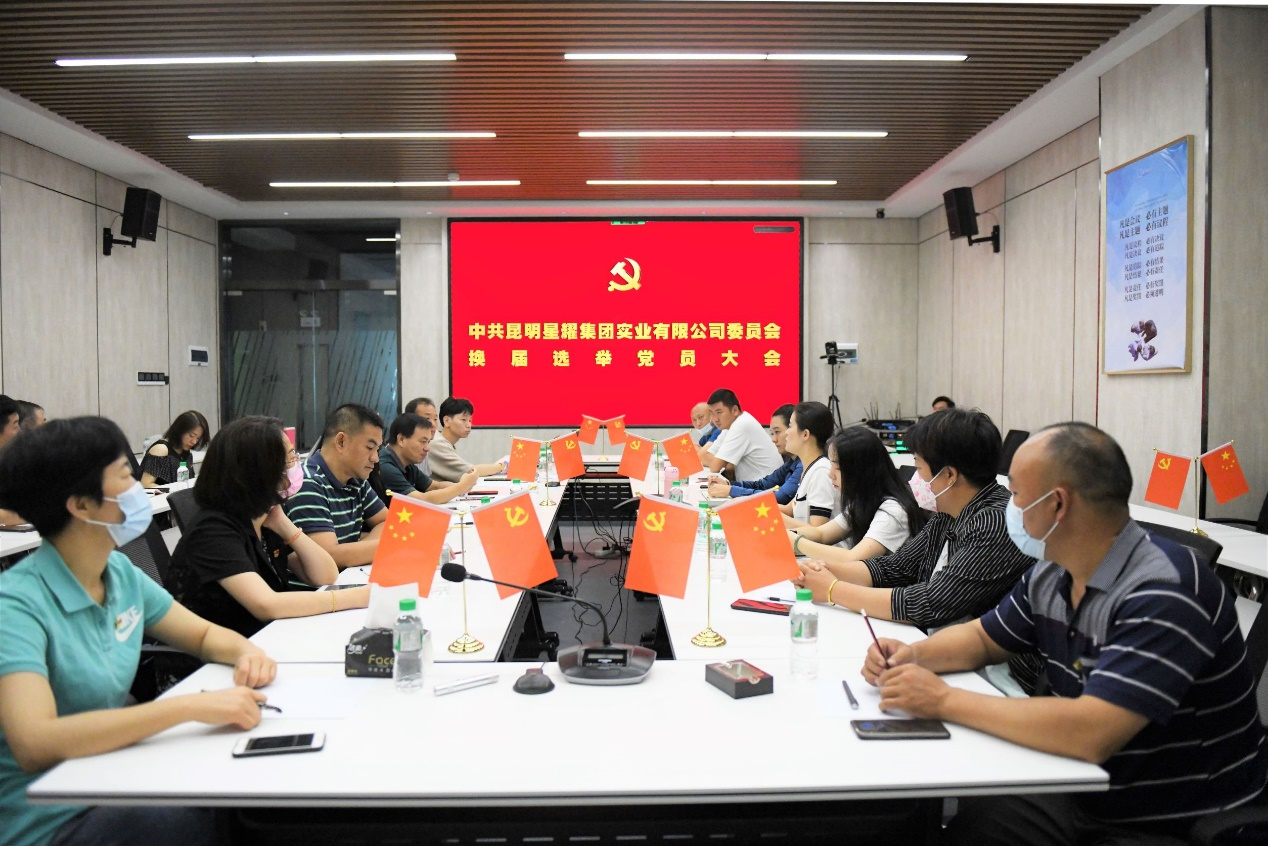星耀集團黨委換屆選舉黨員大會